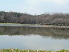 panoramio.com Shonai