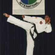 southernmartialarts.com Shonari