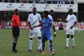 herald.co.zw Shonhiwa