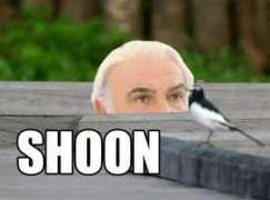 Shoon