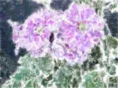esola.co.jp Shopan