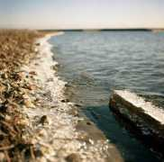 Shore