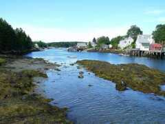 Shore