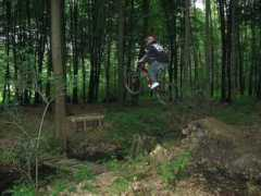 Shorek