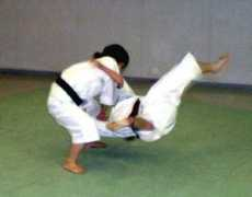 torontoshorinji.org Shorinji