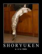 pajarator.com Shoryuken