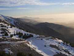 Shouf