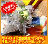 rakuten.co.jp Shouga