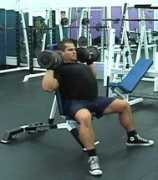 leehayward.com Shoulders