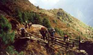 myhimalayas.com Shringi