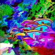 glogster.com Shrooms