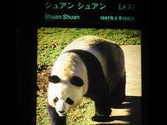 Shuan