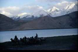 Shubash