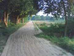 Shubhendru