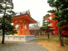 avangard-torg.ru Shuj