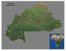 gowestafrica.org Siamou