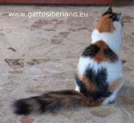 agraria.org Siberiana
