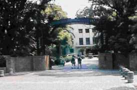 Siboko