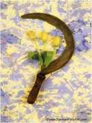 Sickle