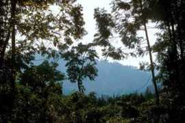 etiopiamagica.it Sidamo