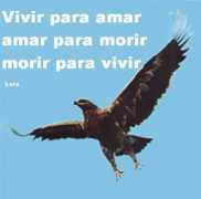 Sidart