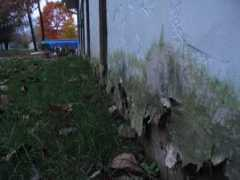 moldknowledge.com Siding