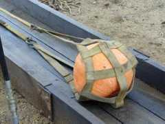 folkcatart.com Siegars