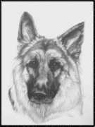 Sieger
