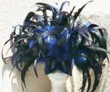 checkitout247.com Siener