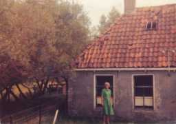 Sienke