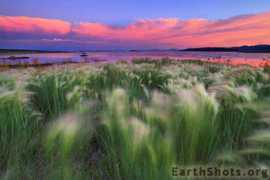 earthshots.org Sieren