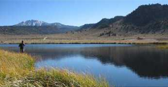 greenbridges.com Sierras