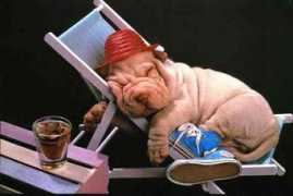 funfou.com Sieste