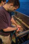 oceanexplorer.noaa.gov Sieve