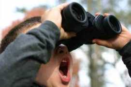 Sight