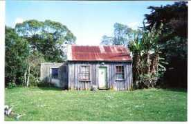 horowhenua.kete.net.nz Silbery