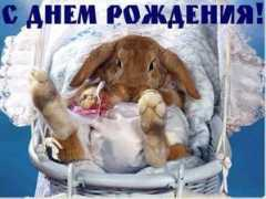ghu74p.mindmix.ru Silentangel