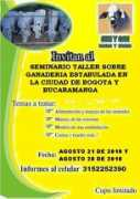 agro20.com Silgado