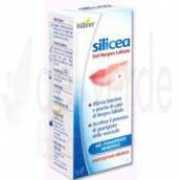 Siliceo