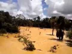 article.wn.com Silien