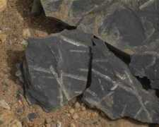 Silurian