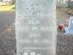 Silvenius
