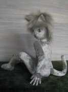 Silvercat