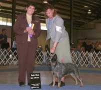 txk9.com Silverdust