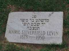 Silverfield