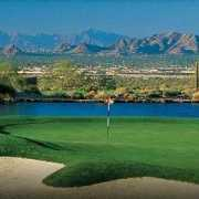 Silverleaf