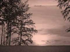 Silversoul