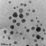 nanobiosilver.com Silvert