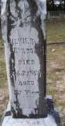 cemeteries-of-tx.com Silvier