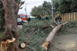 elnortedecastilla.es Simancas